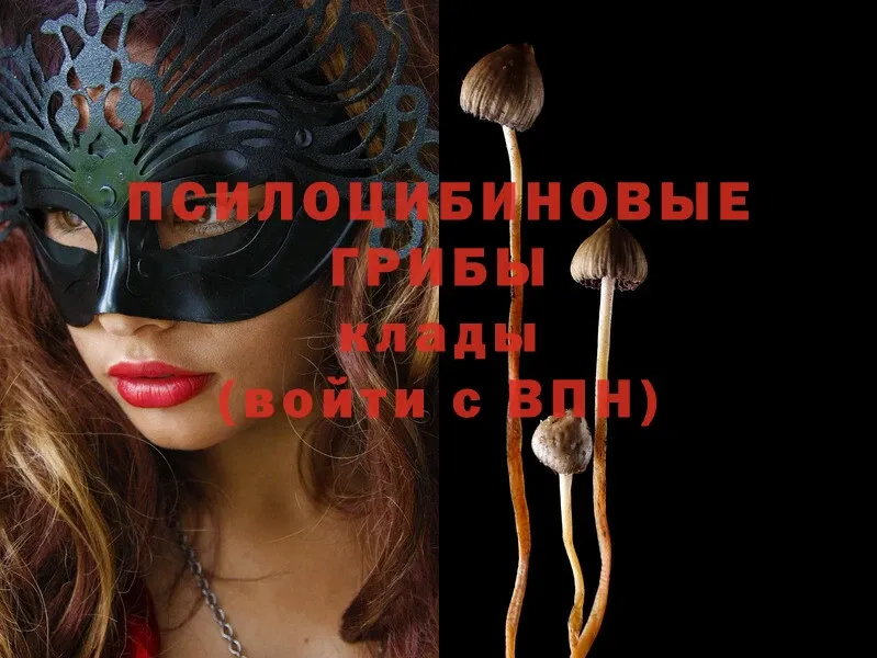 Галлюциногенные грибы MAGIC MUSHROOMS  мега онион  Урюпинск 